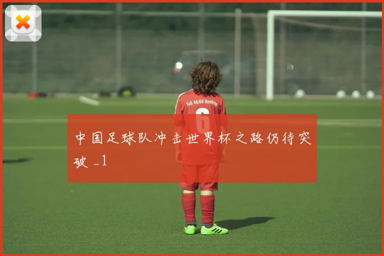 中国足球队冲击世界杯之路仍待突破 _1
