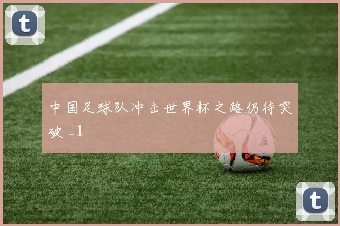 中国足球队冲击世界杯之路仍待突破 _1
